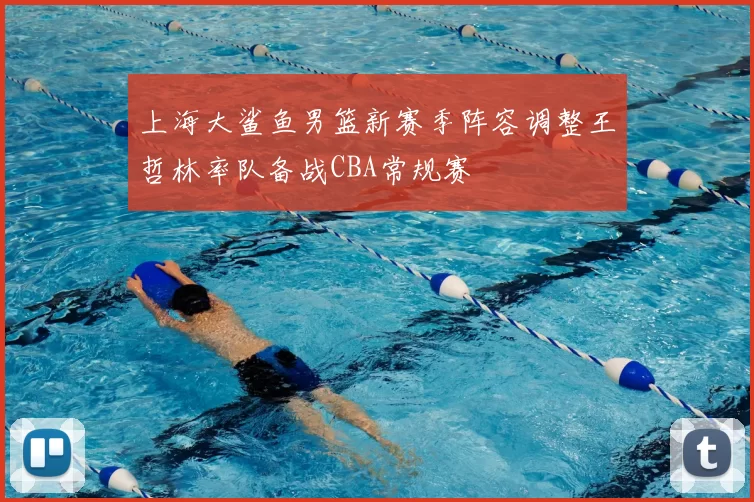 上海大鲨鱼男篮新赛季阵容调整王哲林率队备战CBA常规赛