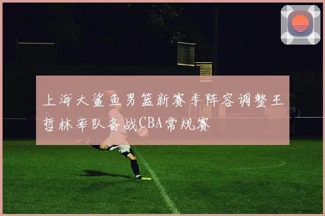 上海大鲨鱼男篮新赛季阵容调整王哲林率队备战CBA常规赛