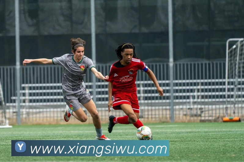 开云官方在线入口 - 开云(中国)APP 封面图